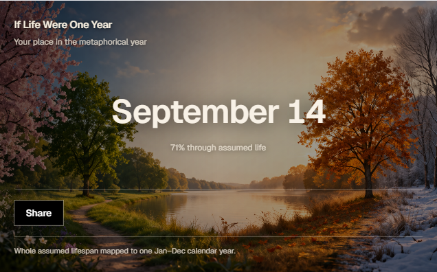 MyLifeOmeter year perspective share card